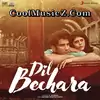Dil Bechara Icon